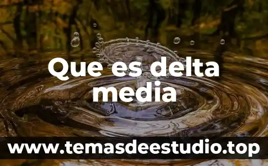 Que es la cultura de barrio 3 Que es delta media