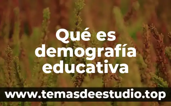Qué es demografía educativa