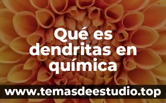 Qué es átomo en química definición 7 Qué es dendritas en química
