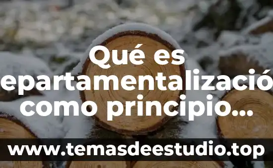 Que es el amor como principio de vida 5 Qué es departamentalización como principio de organización