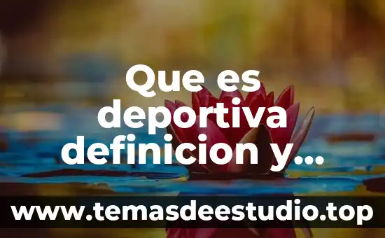 Qué es un soudern definición 7 Que es deportiva definicion y clasificacion