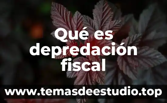 Qué es el número de identificación fiscal Facebook 7 Qué es depredación fiscal