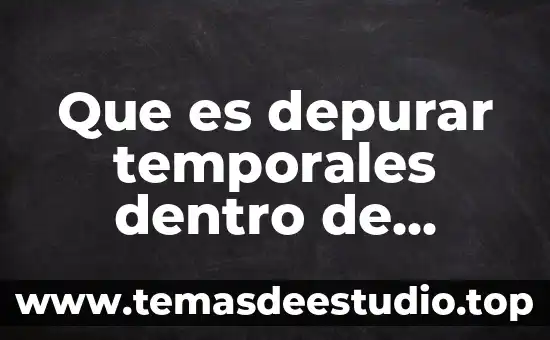 Qué es arquitectura cliente servidor ejemplos 3 Que es depurar temporales dentro de servidor web
