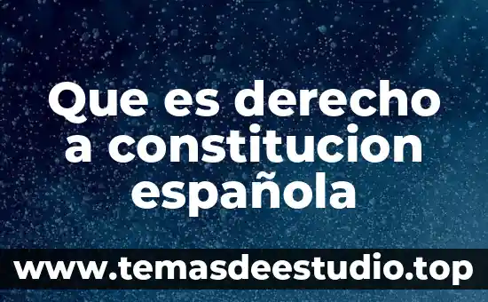 Qué es una constitución de fernando lasalle libro 6 Que es derecho a constitucion española