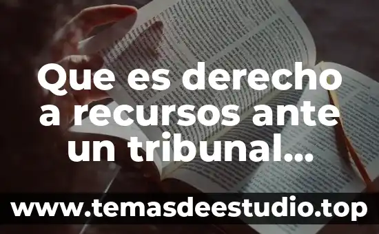 Qué es la competitividad ser competente 4 Que es derecho a recursos ante un tribunal competente