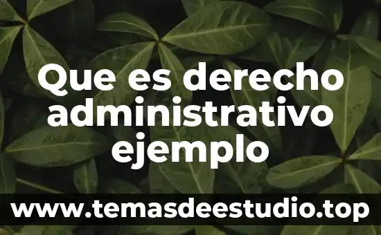 Que es nombre de vialidad ejemplo 8 Que es derecho administrativo ejemplo