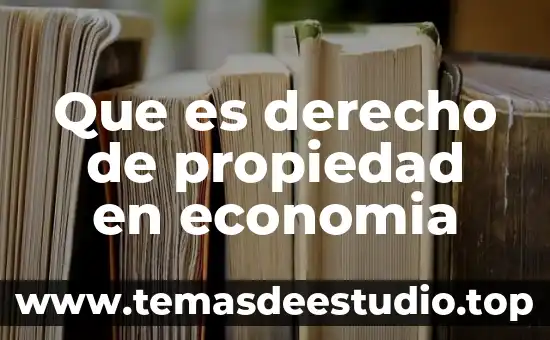 Que es derecho de propiedad en economia