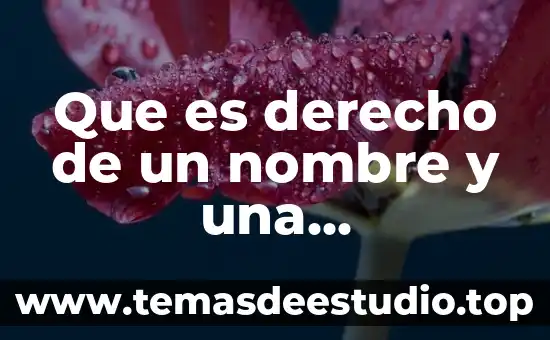 Que es repudiar en derecho 6 Que es derecho de un nombre y una nacionalidad