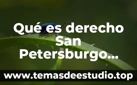 Que es y porque es tan importante gitgub 5 Qué es derecho San Petersburgo porque cambio el nombre