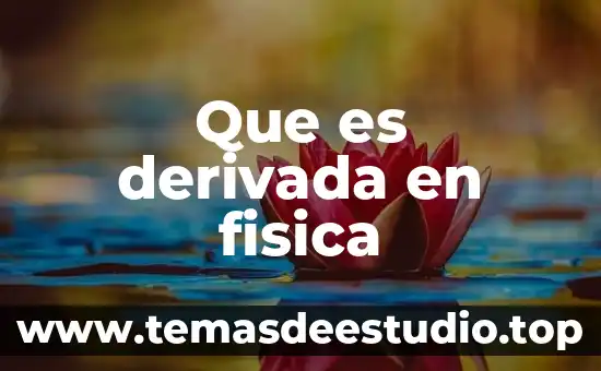 Que es la razon de cambio de la derivada 3 Que es derivada en fisica