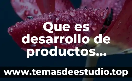 Qué es el juicio según la filosofía 7 Que es desarrollo de productos alternativos segun autores
