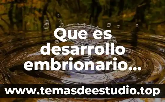Que es lo que desarrollo steve jobs 7 Que es desarrollo embrionario masculino