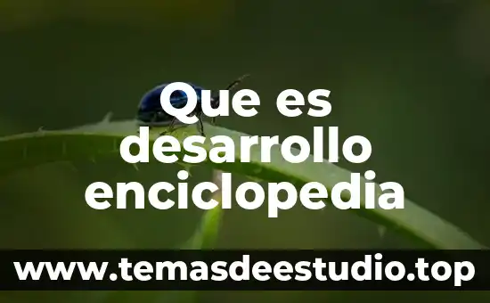 Resumen de que es fisica enciclopedia 3 Que es desarrollo enciclopedia