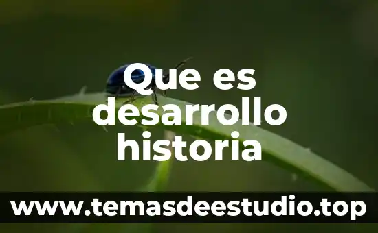 Que es desarrollo historia
