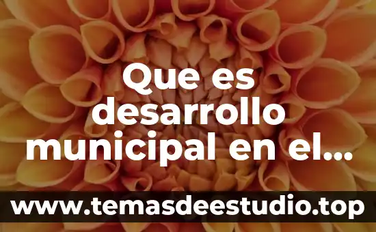 Que es una sociedad de fin ilicito 5 Que es desarrollo municipal en el diccionario