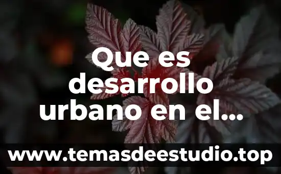 Para max weber que es el municipio formal 5 Que es desarrollo urbano en el municipio