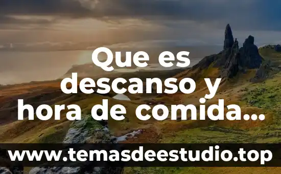 Que es comida inorganica 3 Que es descanso y hora de comida laboral
