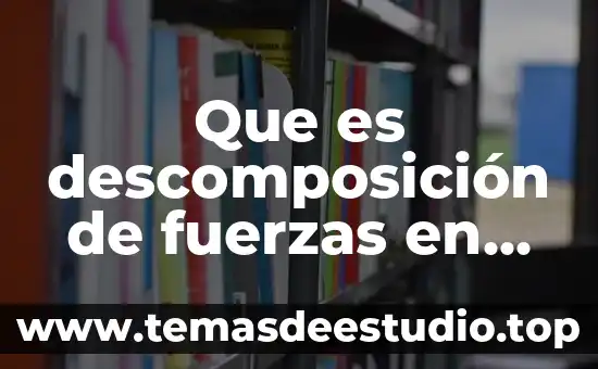Qué es el Sol y sus dimensiones 8 Que es descomposición de fuerzas en tres dimensiones