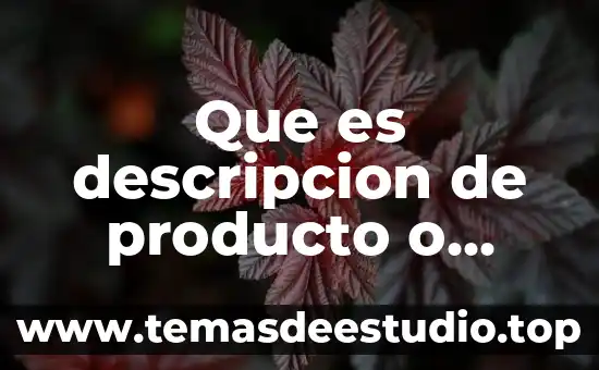 Qué es misión visión valores producto descripción 7 Que es descripcion de producto o servicio sat