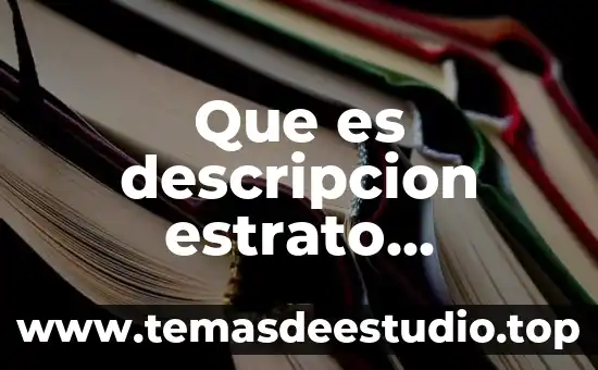 Que es estrato definicion para niños de primaria 3 Que es descripcion estrato personal ocupado