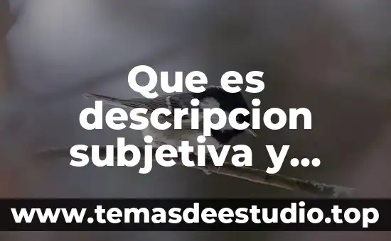 Qué es misión visión valores producto descripción 8 Que es descripcion subjetiva y objetiva