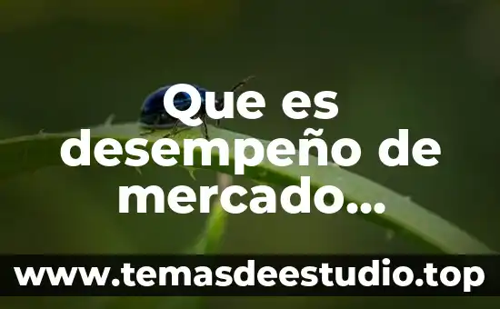 Que es desempeño de mercado financiero