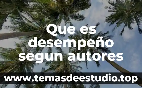 Que es desempeño segun autores