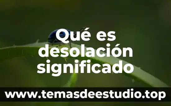 Que es el significado en la argumentación jurídica 8 Qué es desolación significado