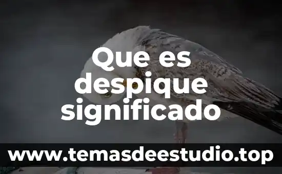 Qué es tatema significado 5 Que es despique significado