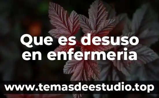 Qué es la democracia en forma de sociedad 8 Que es desuso en enfermeria