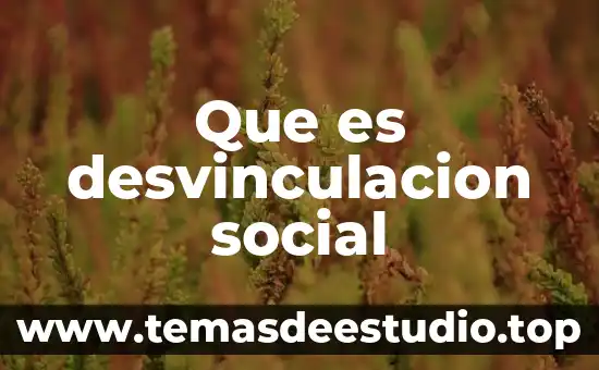 Que es justicia social maria de la luz lima malvido 5 Que es desvinculacion social