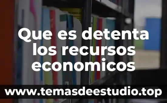 Que es razonamiento de recursos 3 Que es detenta los recursos economicos