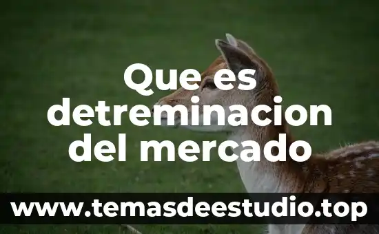 Que es delimitar el mercado 3 Que es detreminacion del mercado