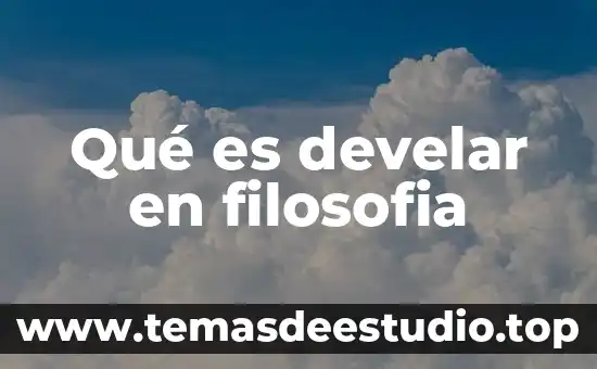 Qué es develar en filosofia