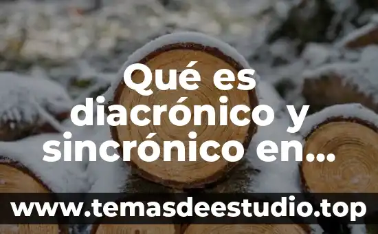 Que es historia economica edu 6 Qu茅 es diacr贸nico y sincr贸nico en historia