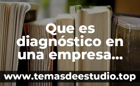Que es diagnóstico en una empresa segun autores