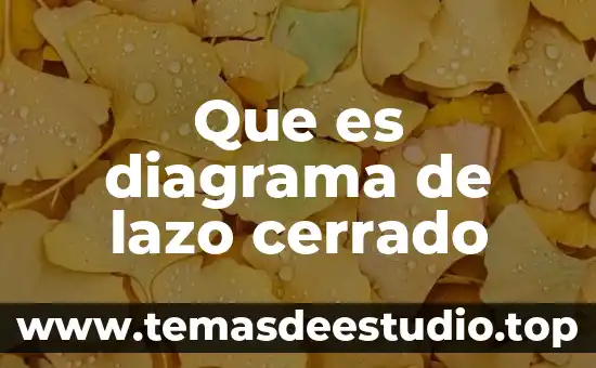 Que es diagrama de lazo cerrado