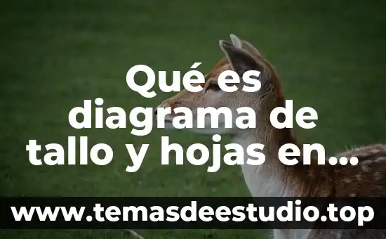 Qué es un corte transversal y longitudinal del tallo 5 Qué es diagrama de tallo y hojas en matemáticas