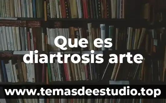 Que es subjetivo en el arte 8 Que es diartrosis arte