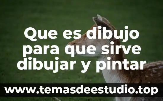 Plan empresa que es y para que sirve 6 Que es dibujo para que sirve dibujar y pintar
