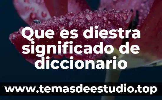 Qué es plácido significado 3 Que es diestra significado de diccionario