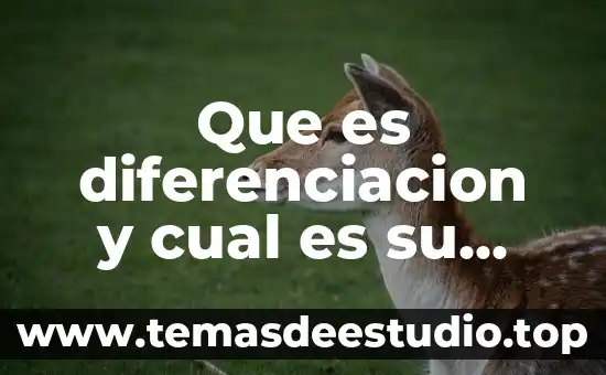 Que es el pene y cual es su funcion 3 Que es diferenciacion y cual es su concepto