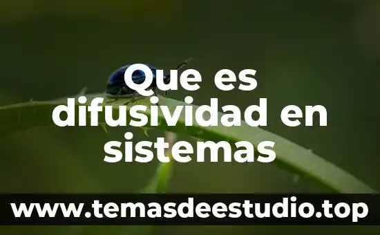 Qué es mqu sistemas de media existen 6 Que es difusividad en sistemas