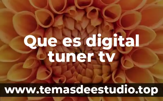 Que es conversor de señal digital a analógica 4 Que es digital tuner tv