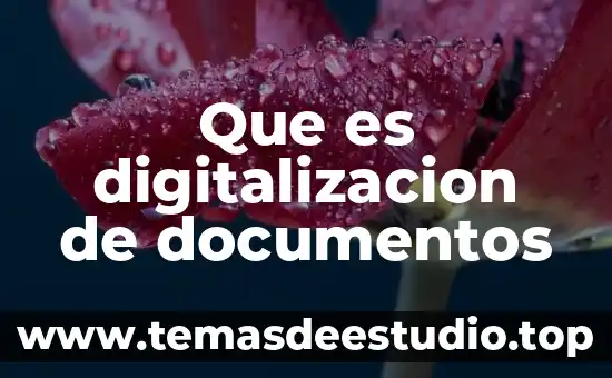 Que es desglose de documentos 4 Que es digitalizacion de documentos