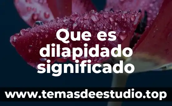 Unicef que es significado 5 Que es dilapidado significado