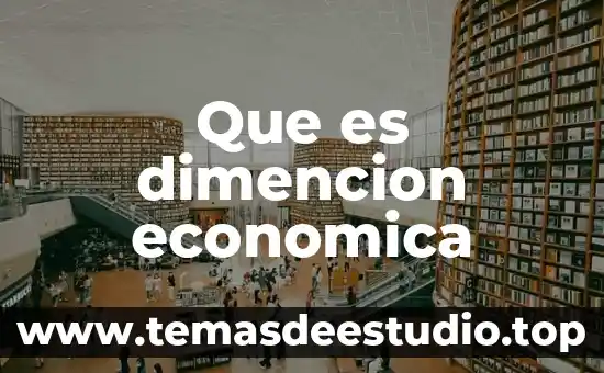 Que es dimencion economica