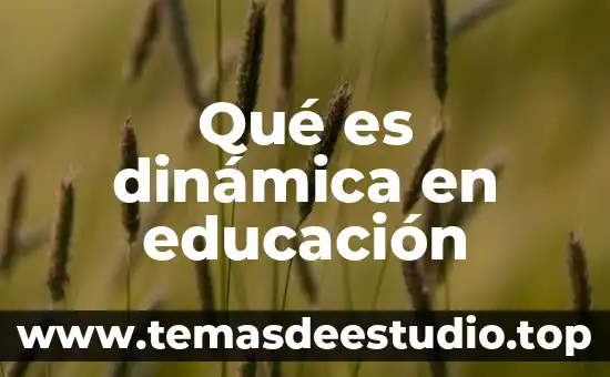 Que es la libertad del derecho a la educacion 3 Qu茅 es din谩mica en educaci贸n