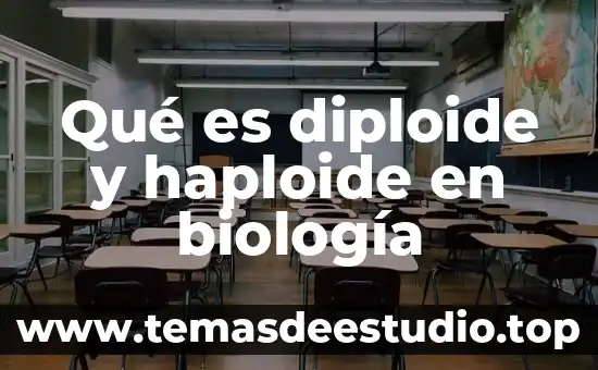 Qué es diploide y haploide en biología