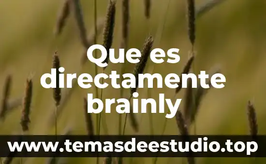 Que es el lenguaje y cultura 8 Que es directamente brainly